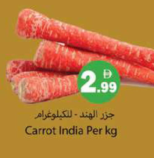 Carrot from India available at جلف هايبرماركت ذ.م.م in الإمارات العربية المتحدة , الامارات - رَأْس ٱلْخَيْمَة