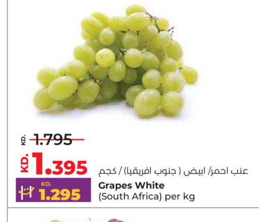 Grapes from South Africa available at Lulu Hypermarket  in Kuwait - Ahmadi Governorate