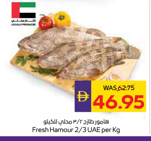 available at ADCOOP in UAE - Ras al Khaimah