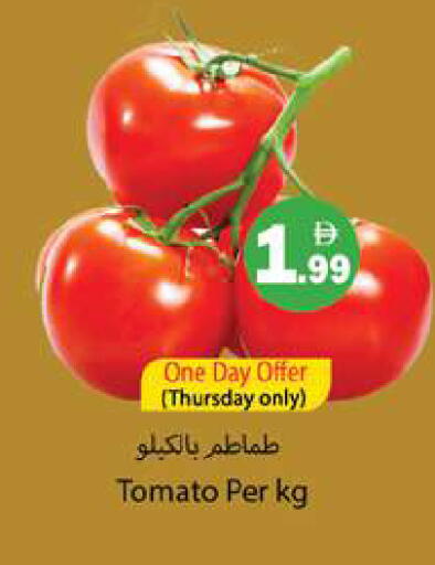 Tomato available at جلف هايبرماركت ذ.م.م in الإمارات العربية المتحدة , الامارات - رَأْس ٱلْخَيْمَة