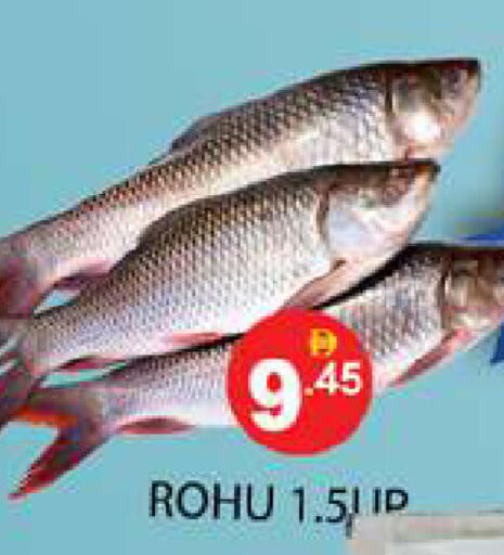 available at زين مارت سوبرماركت in الإمارات العربية المتحدة , الامارات - رَأْس ٱلْخَيْمَة