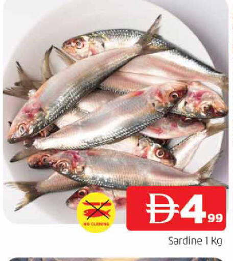 available at المدينة in الإمارات العربية المتحدة , الامارات - الشارقة / عجمان