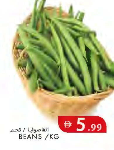 available at  روابي ماركت عجمان in الإمارات العربية المتحدة , الامارات - الشارقة / عجمان