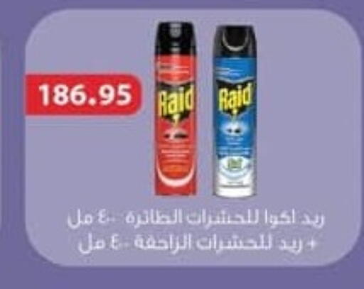 available at سبينس in Egypt - القاهرة