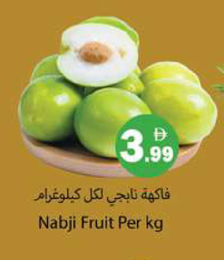 available at جلف هايبرماركت ذ.م.م in الإمارات العربية المتحدة , الامارات - رَأْس ٱلْخَيْمَة