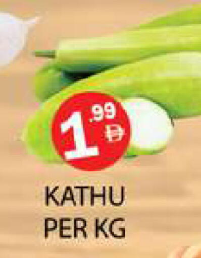 available at زين مارت سوبرماركت in الإمارات العربية المتحدة , الامارات - رَأْس ٱلْخَيْمَة