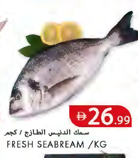 available at  روابي ماركت عجمان in الإمارات العربية المتحدة , الامارات - الشارقة / عجمان