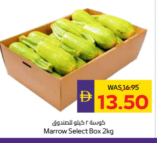 Marrow available at أدكووب in الإمارات العربية المتحدة , الامارات - رَأْس ٱلْخَيْمَة