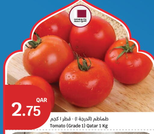 Tomato from Qatar available at City Hypermarket in Qatar - Al-Shahaniya