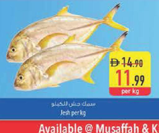 available at السفير ماركت in الإمارات العربية المتحدة , الامارات - ٱلْفُجَيْرَة‎