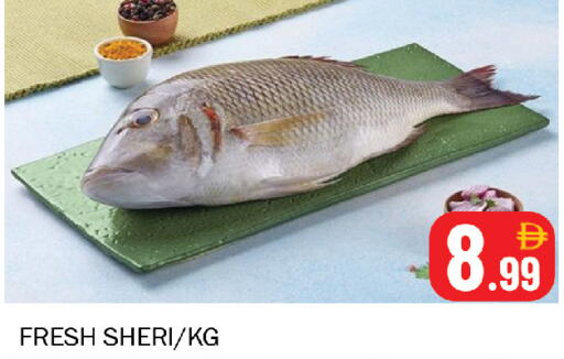 available at سوق المبارك هايبرماركت in الإمارات العربية المتحدة , الامارات - الشارقة / عجمان