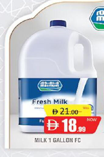 available at المدينة in الإمارات العربية المتحدة , الامارات - دبي