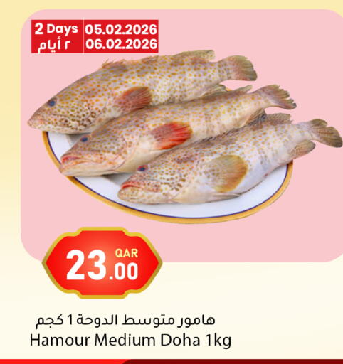 available at دانا ماركت in قطر - أم صلال