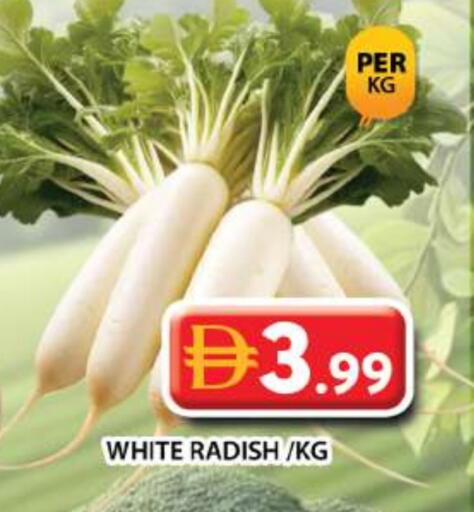 Radish available at جراند هايبر ماركت in الإمارات العربية المتحدة , الامارات - دبي