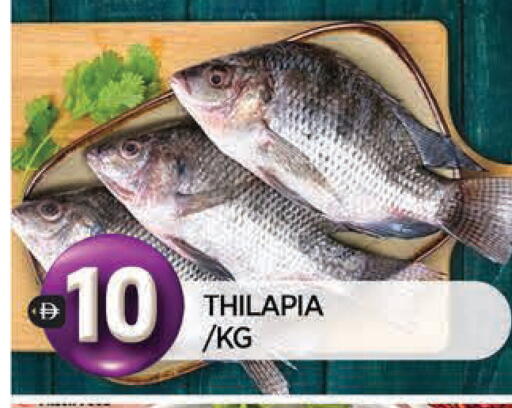 available at المدينة in الإمارات العربية المتحدة , الامارات - الشارقة / عجمان