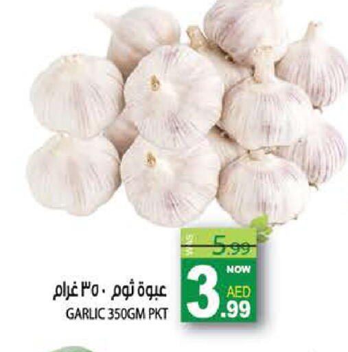 Garlic available at هاشم هايبرماركت in الإمارات العربية المتحدة , الامارات - الشارقة / عجمان