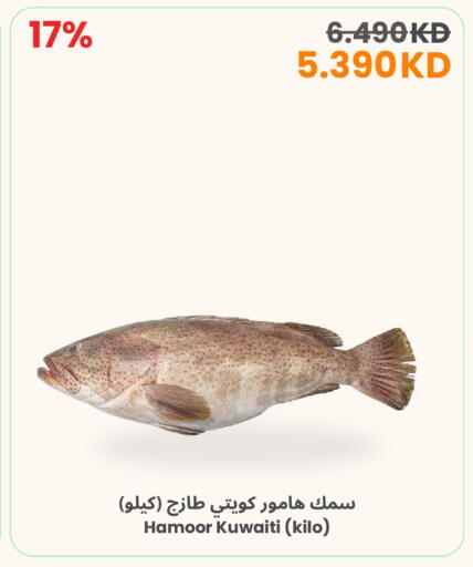 available at The Sultan Center in Kuwait - Ahmadi Governorate