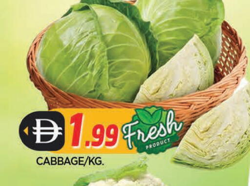 Cabbage available at المدينة in الإمارات العربية المتحدة , الامارات - الشارقة / عجمان