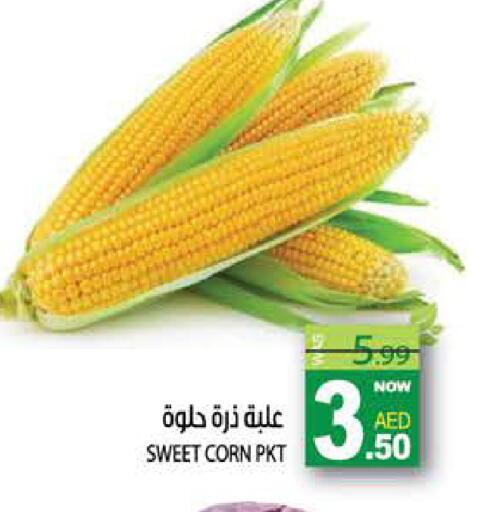 available at هاشم هايبرماركت in الإمارات العربية المتحدة , الامارات - الشارقة / عجمان