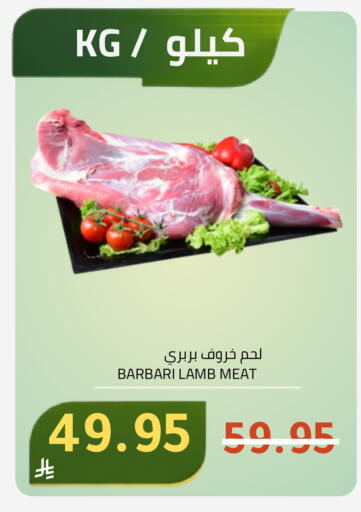 available at أسواق أسترا in مملكة العربية السعودية, السعودية, سعودية - تبوك