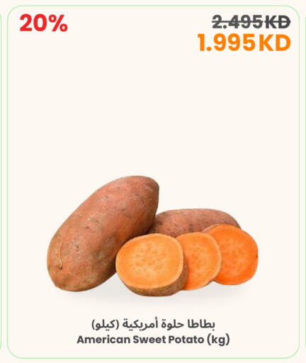 Sweet Potato from United States available at The Sultan Center in Kuwait - Ahmadi Governorate