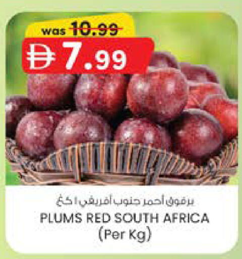 Plums from South Africa available at ك. الم. للتجارة in الإمارات العربية المتحدة , الامارات - دبي