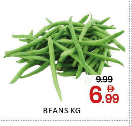 Mango available at مانجو هايبرماركت in الإمارات العربية المتحدة , الامارات - دبي