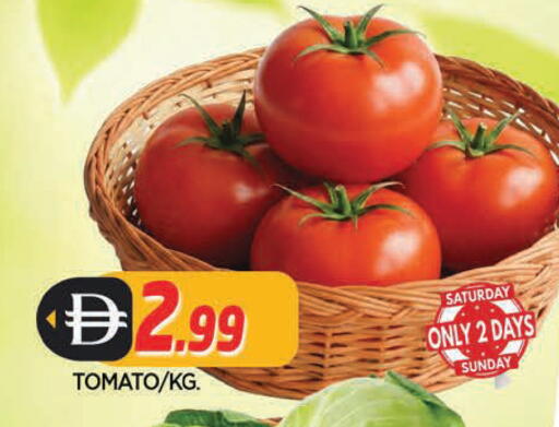 Tomato available at المدينة in الإمارات العربية المتحدة , الامارات - الشارقة / عجمان