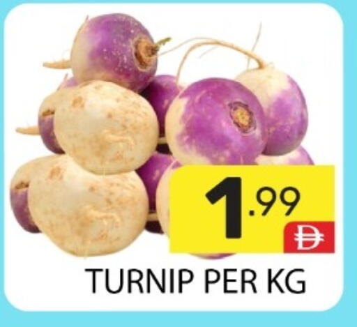 Turnip available at دريم نايت هايبرماركت in الإمارات العربية المتحدة , الامارات - دبي