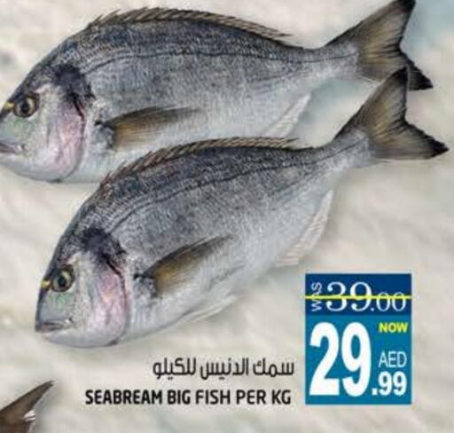 available at هاشم هايبرماركت in الإمارات العربية المتحدة , الامارات - الشارقة / عجمان