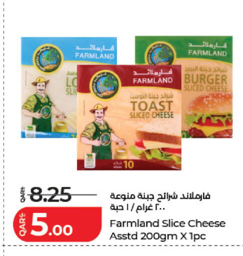 available at لولو هايبرماركت in قطر - الضعاين