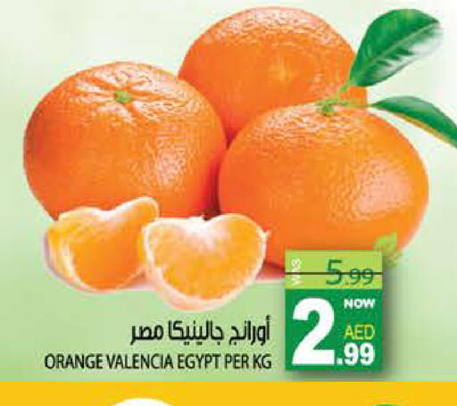 Orange from Egypt available at هاشم هايبرماركت in الإمارات العربية المتحدة , الامارات - الشارقة / عجمان