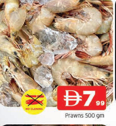 available at المدينة in الإمارات العربية المتحدة , الامارات - الشارقة / عجمان