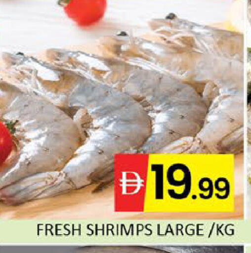 Mango available at مانجو هايبرماركت in الإمارات العربية المتحدة , الامارات - دبي