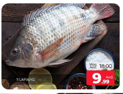 available at المدينة in الإمارات العربية المتحدة , الامارات - الشارقة / عجمان