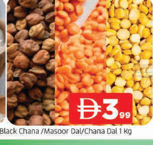 available at المدينة in الإمارات العربية المتحدة , الامارات - الشارقة / عجمان