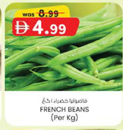 from France available at ك. الم. للتجارة in الإمارات العربية المتحدة , الامارات - دبي