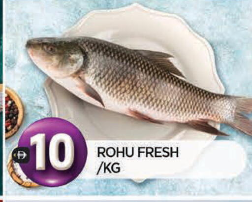 available at المدينة in الإمارات العربية المتحدة , الامارات - الشارقة / عجمان