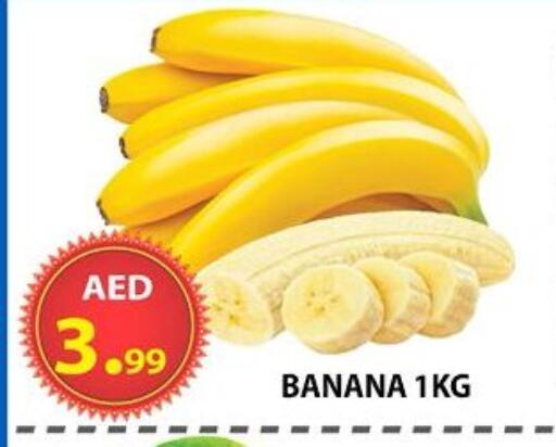 Banana available at مركز الوحدة للتخفيضات in الإمارات العربية المتحدة , الامارات - الشارقة / عجمان