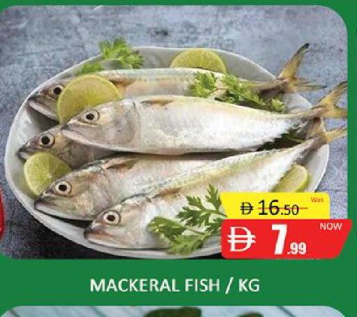 available at المدينة in الإمارات العربية المتحدة , الامارات - دبي