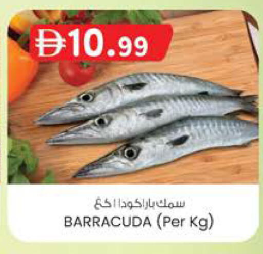 available at K.M Hypermarket in UAE - Abu Dhabi