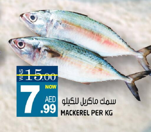 available at هاشم هايبرماركت in الإمارات العربية المتحدة , الامارات - الشارقة / عجمان