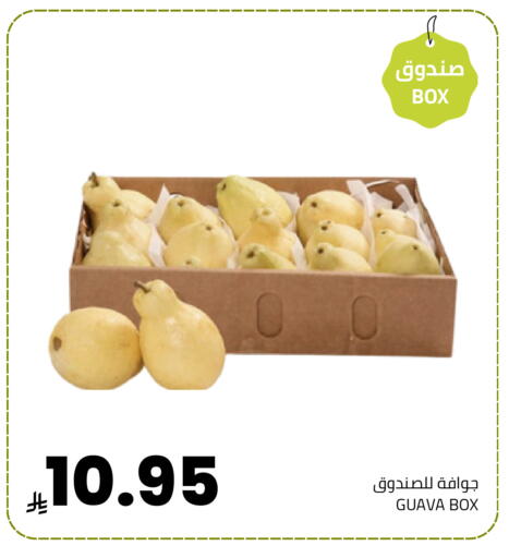 Guava available at Astra Markets in KSA, Saudi Arabia, Saudi - Tabuk