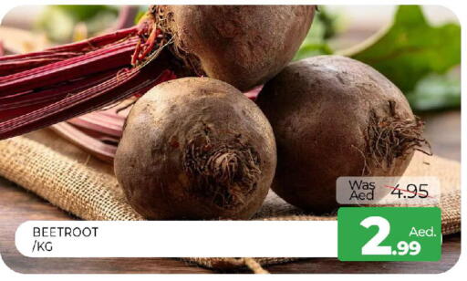 Beetroot available at المدينة in الإمارات العربية المتحدة , الامارات - الشارقة / عجمان
