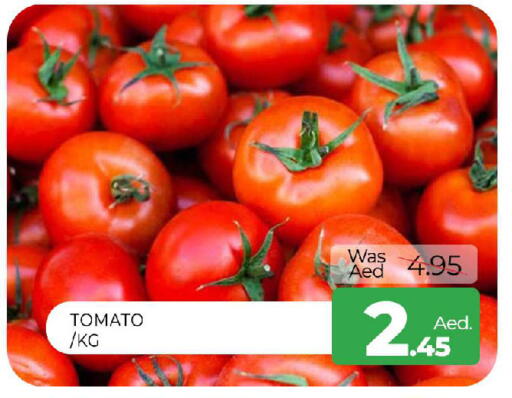 Tomato available at المدينة in الإمارات العربية المتحدة , الامارات - الشارقة / عجمان