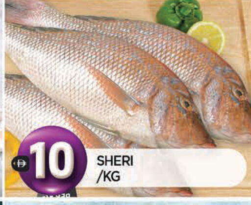 available at المدينة in الإمارات العربية المتحدة , الامارات - الشارقة / عجمان