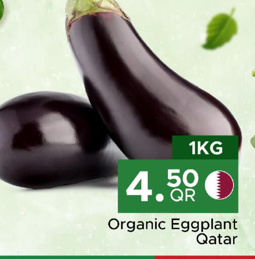 Eggplant available at Family Food Centre in Qatar - Al Daayen