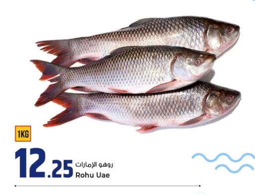 available at Rawabi Hypermarket in Qatar - Al Daayen