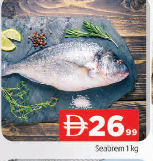 available at المدينة in الإمارات العربية المتحدة , الامارات - الشارقة / عجمان