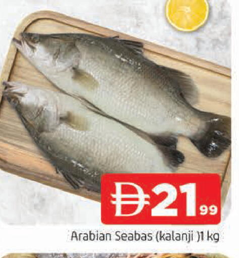 available at المدينة in الإمارات العربية المتحدة , الامارات - الشارقة / عجمان